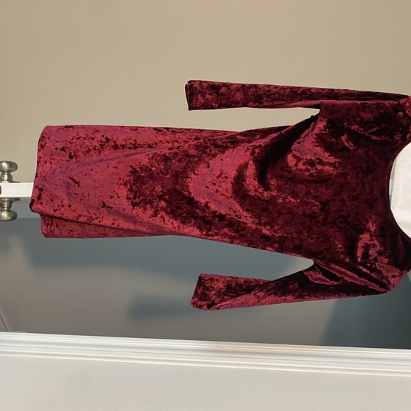 Crush Velvet Cocktail Dress - Picture 4 of 4